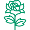 Grüne Linie, Logo Blumenschmuck