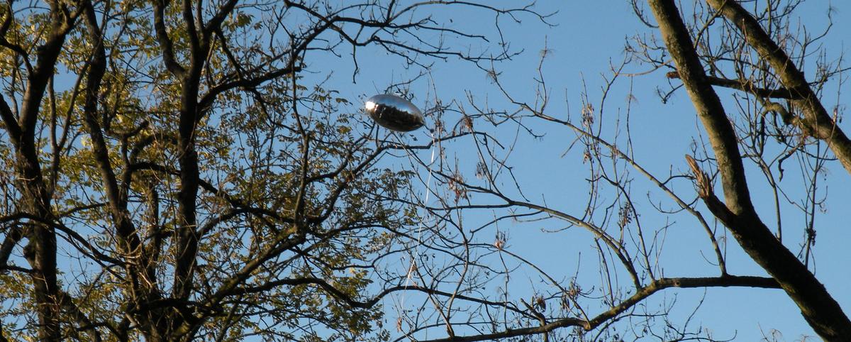 Ein silberner Luftballon schwebt durch die Bäume gen Himmel